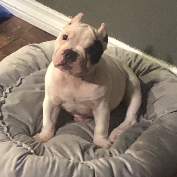 Meet your Posher, Soledad - Picture 1 of 1